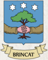 Coa fam ITA brincat MLTA DCO.png