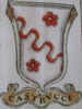 Coa fam ITA castrucci BNVE 314.png