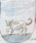 Coa fam ITA gatto BNVE 319.png