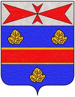 Coa fam ITA biringucci4.jpg