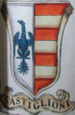 Coa fam ITA castiglioni BNVE 315.png