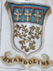 Coa fam ITA brandolini BNVE 314.png