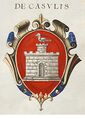 Coa fam ITA de casulis STBV 268.jpg