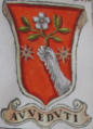 Coa fam ITA avveduti BNVE 314.png