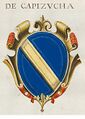 Coa fam ITA de capizucha STBV 268.jpg