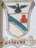 Coa fam ITA gaspiri BNVE 315.png