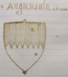 Coa fam ITA angusciola o anguisol BNVE 625.png