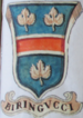 Coa fam ITA biringucci BNVE 314.png